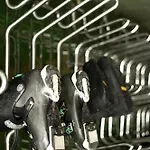 Villa Stara Pravda Bukovel