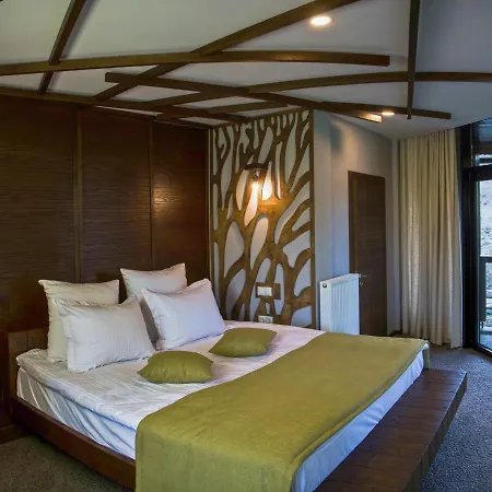 Stara Pravda Villa *